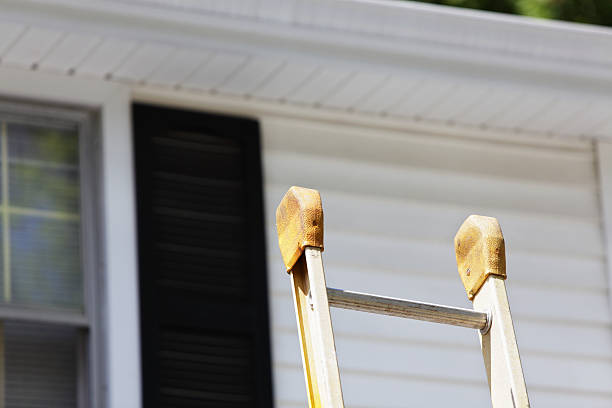  Rockford, MN Siding Installation Pros